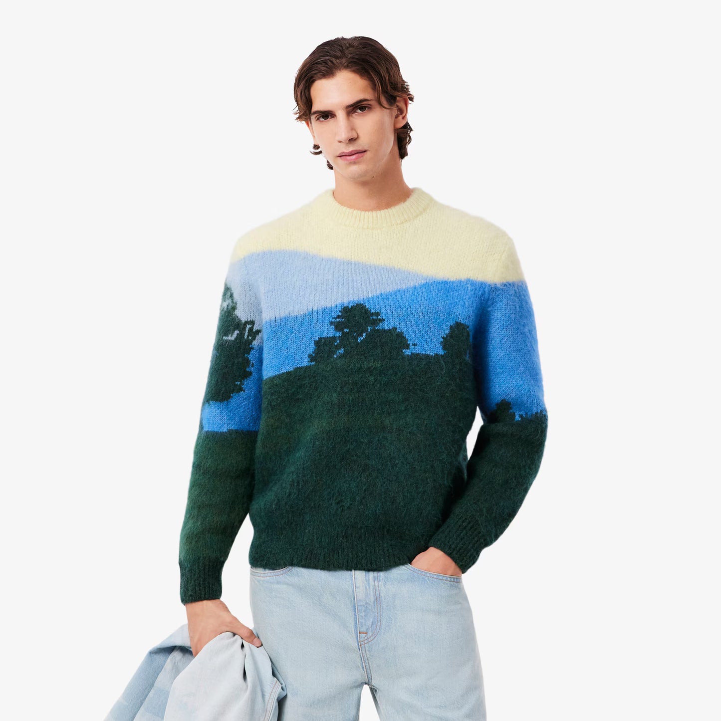 Landschafts-Jacquardpullover aus Alpakawolle
