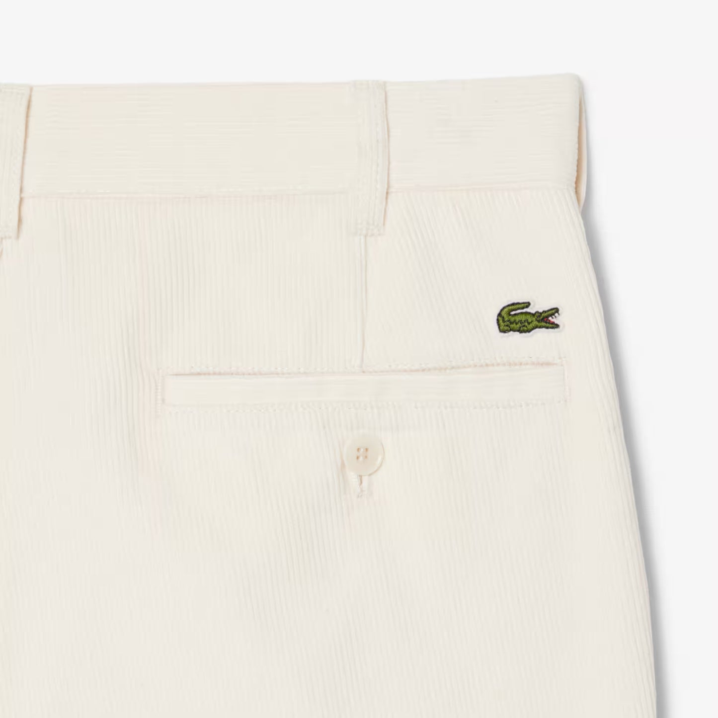Regular Fit Corduroy Chino Pants