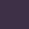 Skate Slip-On Shoes